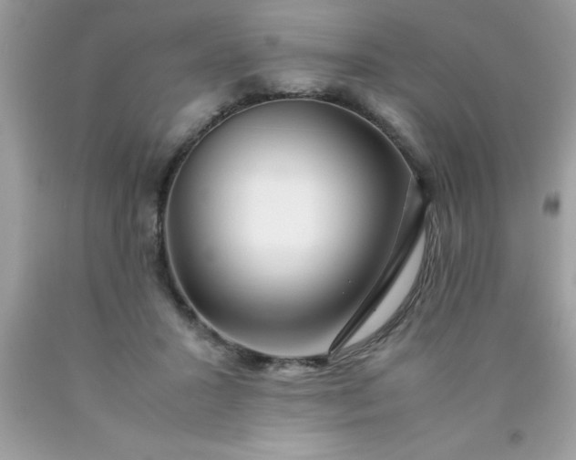 X0000090470407200707272302