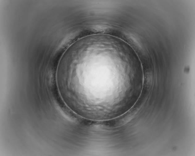 X0000090470408200707272302