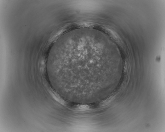 X0000090470409200707272302