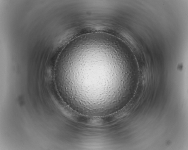 X0000090470410200707272302