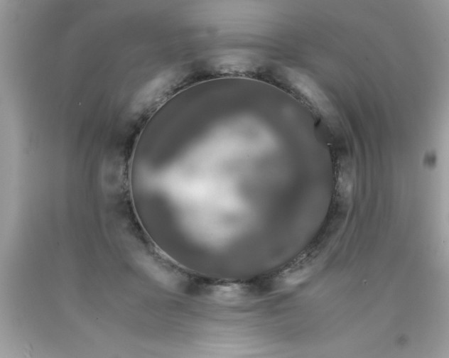 X0000090470411200707272302