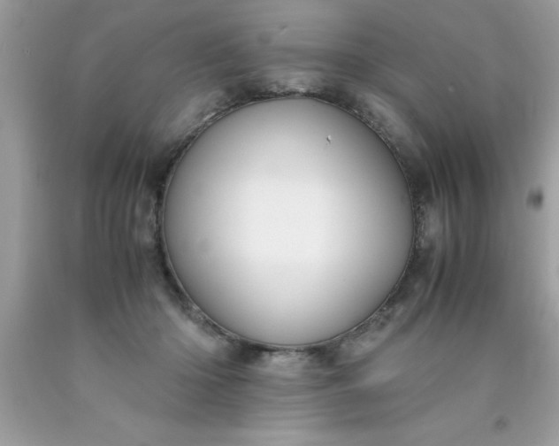 X0000090470414200707272302