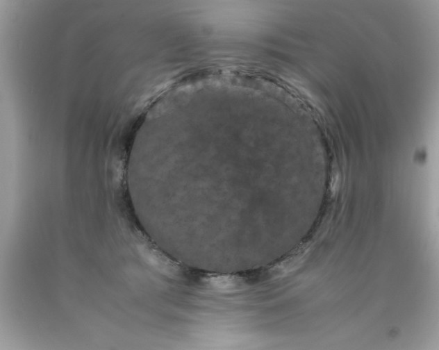 X0000090470417200707272302