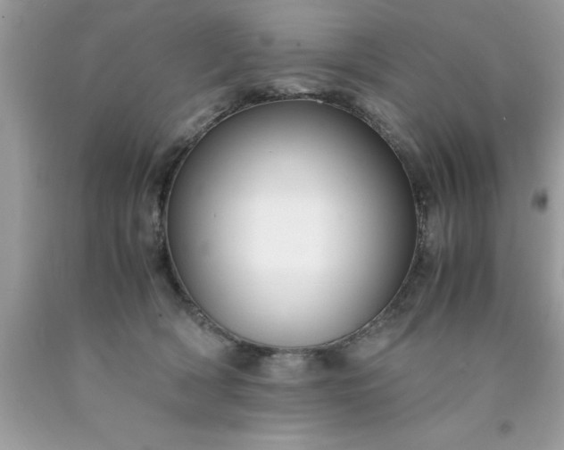 X0000090470418200707272302