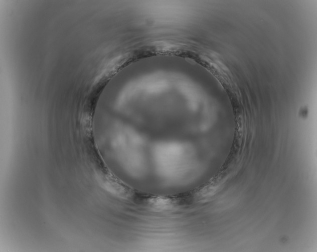 X0000090470419200707272302