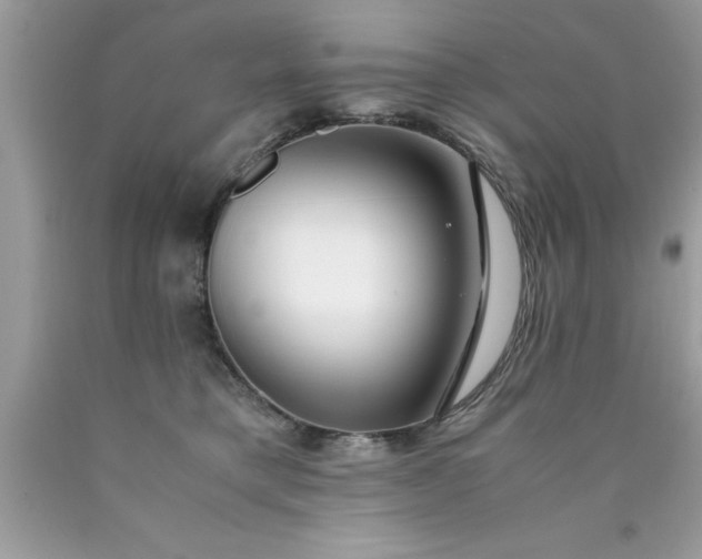 X0000090470421200707272302