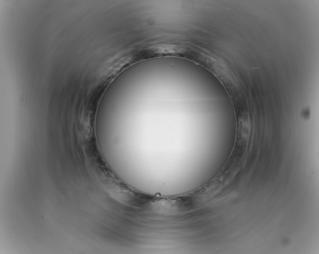 X0000090470422200707272302