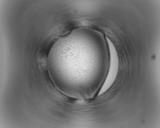 X0000090470425200707272302