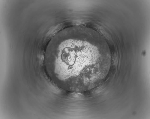 X0000090470427200707272302