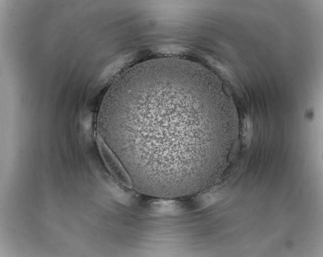 X0000090470428200707272302