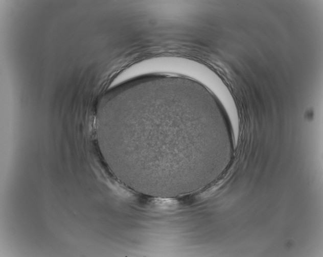 X0000090470429200707272302