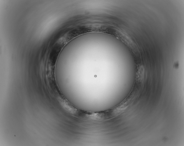 X0000090470430200707272302