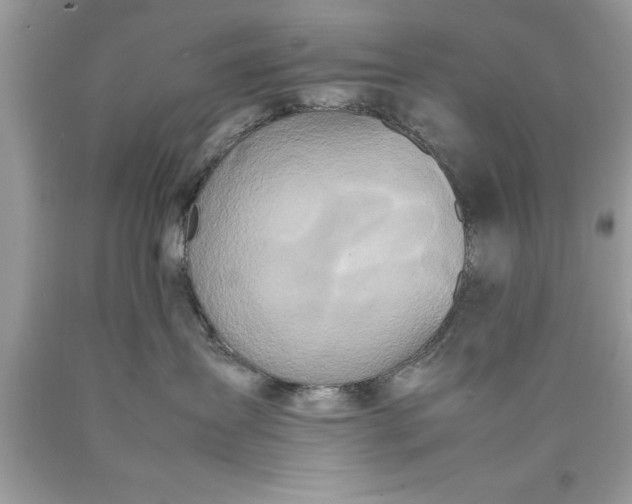 X0000090470431200707272302