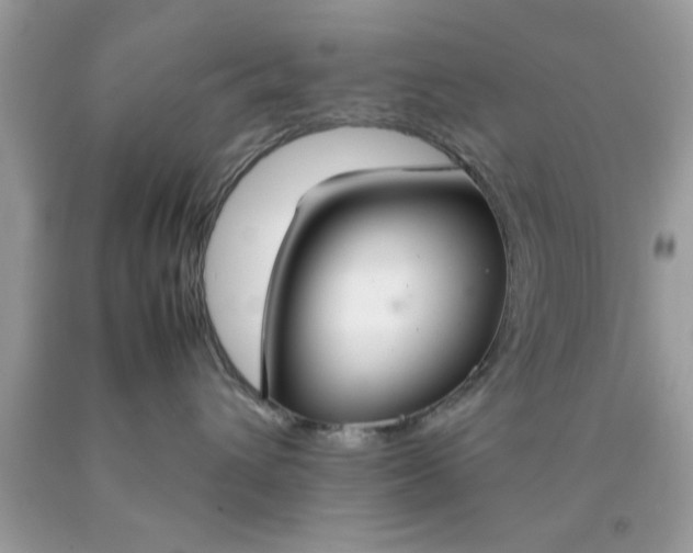 X0000090470432200707272302