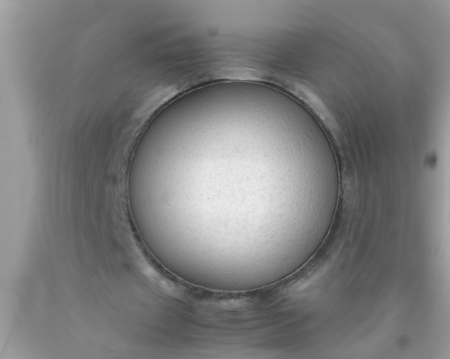 X0000090470433200707272301