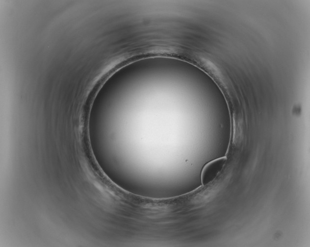 X0000090470435200707272301