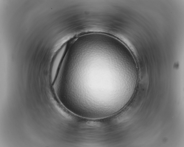 X0000090470437200707272301