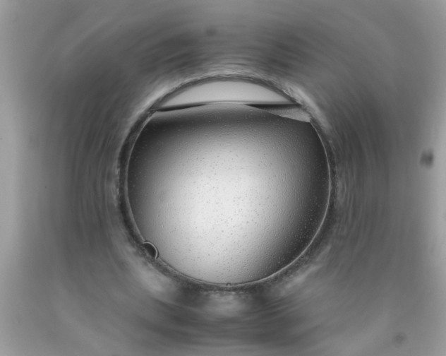 X0000090470439200707272301