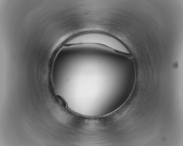 X0000090470440200707272302