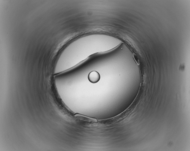 X0000090470444200707272302