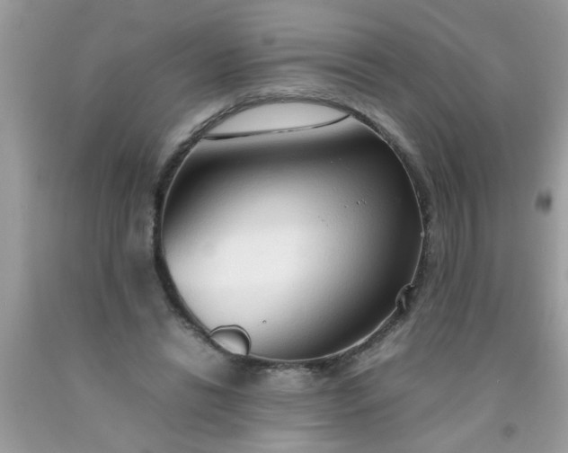 X0000090470446200707272302