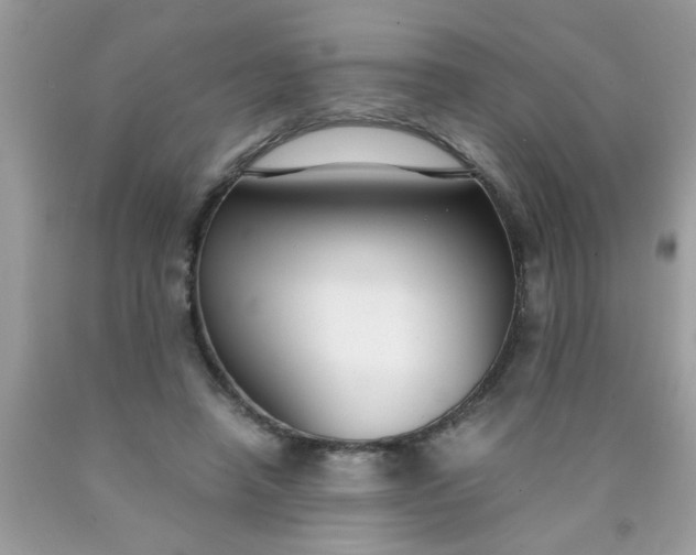 X0000090470450200707272302