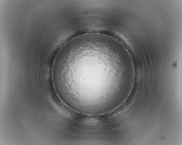 X0000090470451200707272302