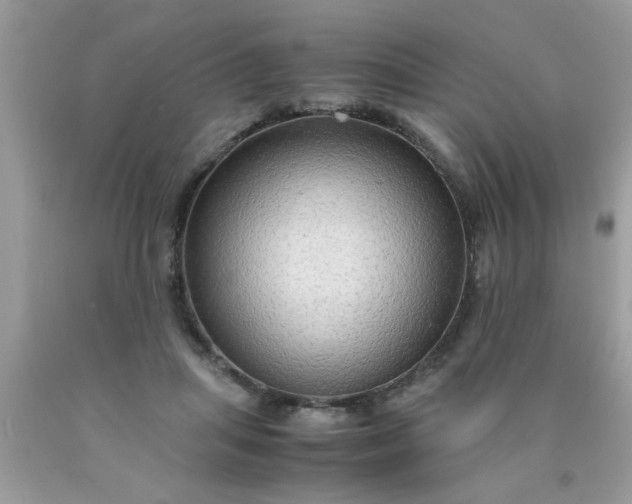 X0000090470455200707272302