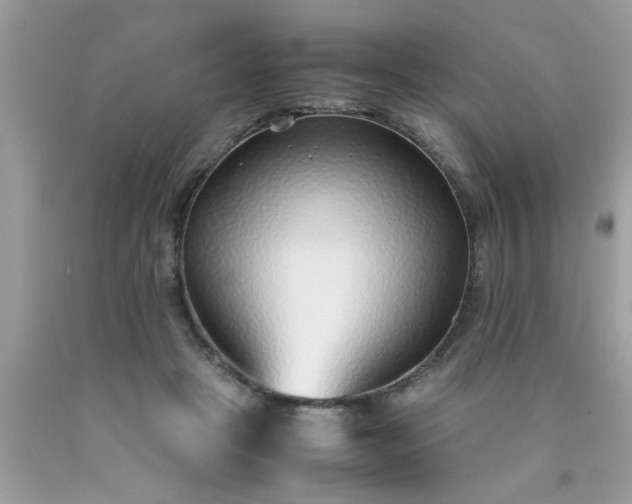 X0000090470457200707272302