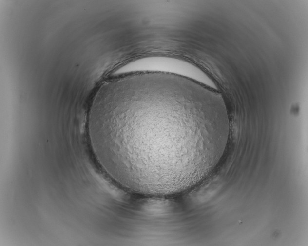 X0000090470458200707272302