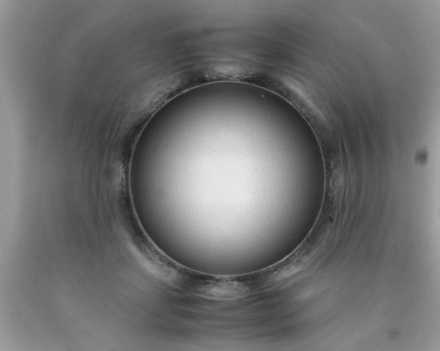 X0000090470459200707272302