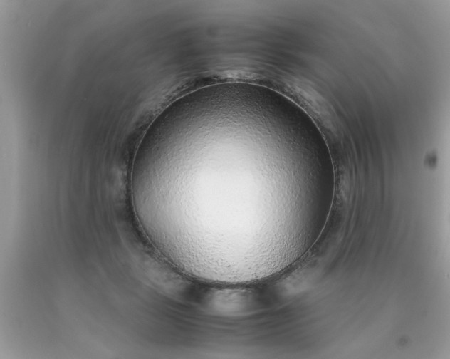 X0000090470461200707272302