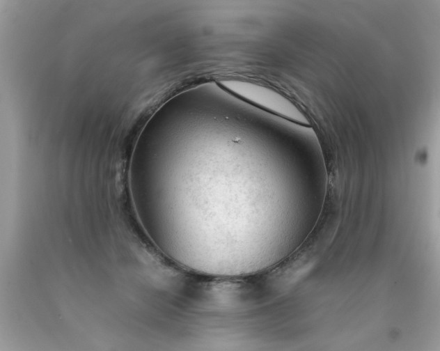 X0000090470462200707272302