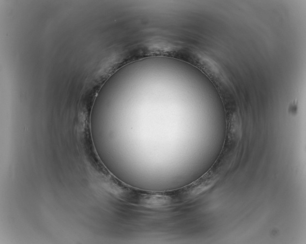 X0000090470463200707272302