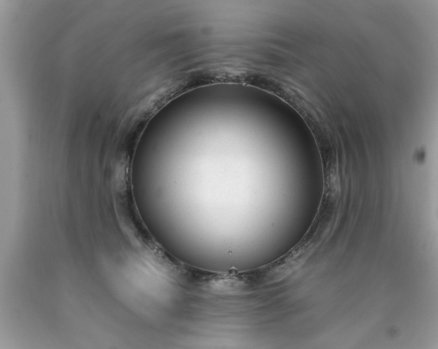 X0000090470468200707272302