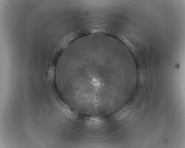 X0000090470475200707272302