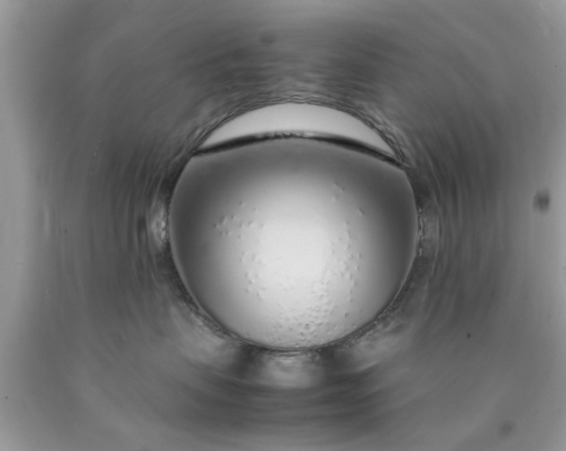 X0000090470479200707272302