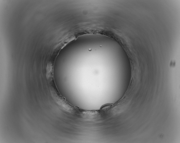 X0000090470480200707272302