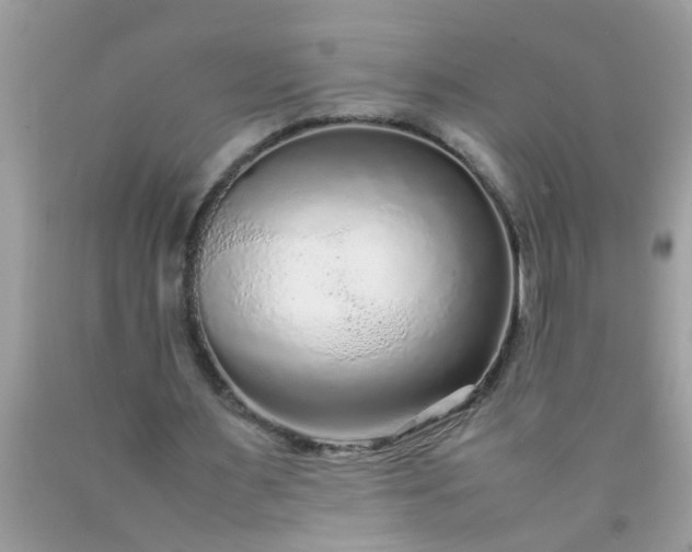 X0000090470483200707272301