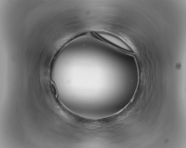 X0000090470485200707272301