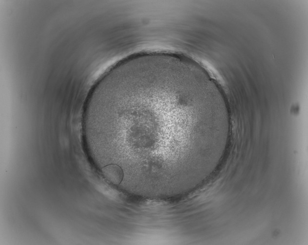 X0000090470487200707272301