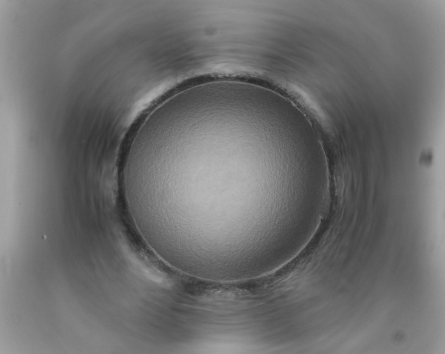 X0000090470488200707272301