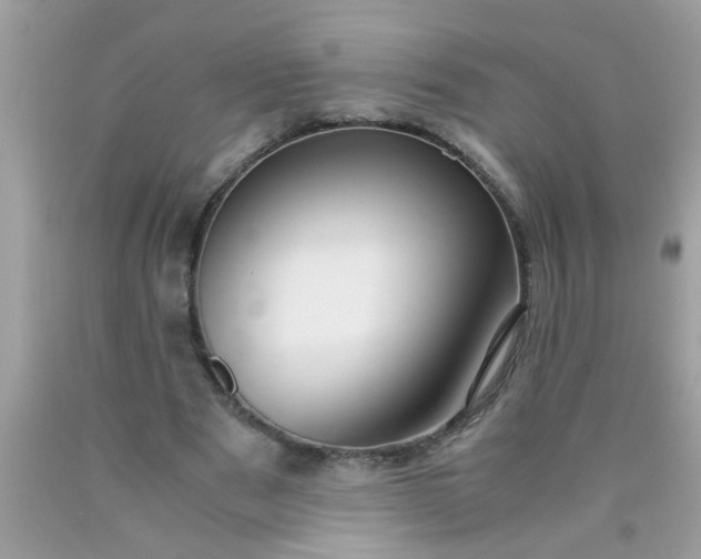 X0000090470489200707272301