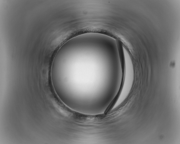 X0000090470493200707272301