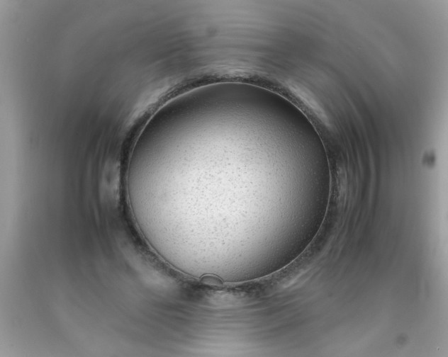 X0000090470494200707272301