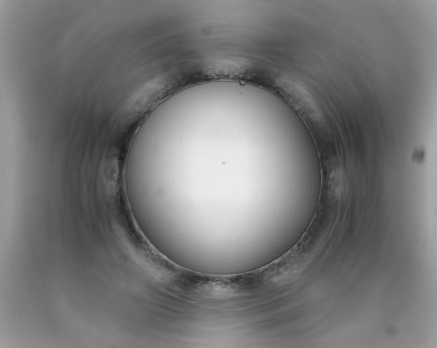 X0000090470498200707272301