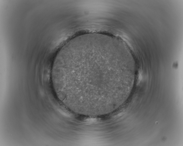 X0000090470499200707272301