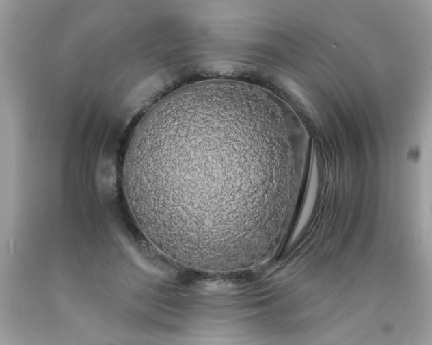 X0000090470500200707272301