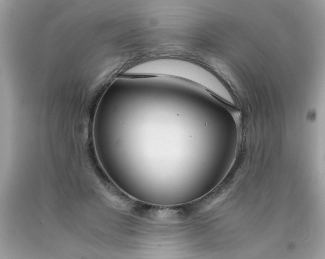 X0000090470501200707272301