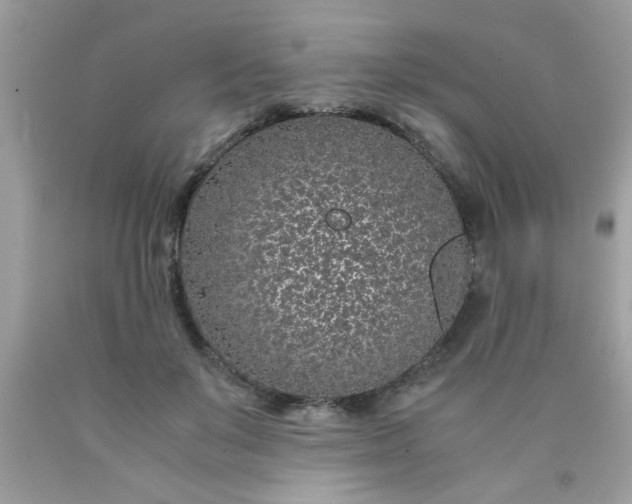 X0000090470503200707272301